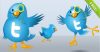 How to my business with twitter tw